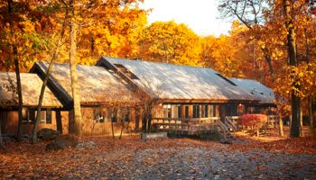 A rustic cabin surrounded by autumn leaves with sunlight casting warm hues.