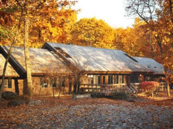 A rustic cabin in a forest during autumn, surrounded by fallen leaves and trees with golden foliage.