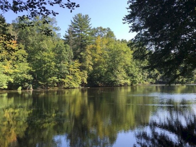 A serene lake surrounded by trees under a clear blue sky, with reflections on the water.
