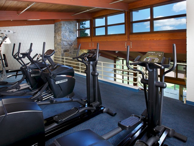 Workout loft with elliptical machines, exercise bikes and an all in one weight machine
