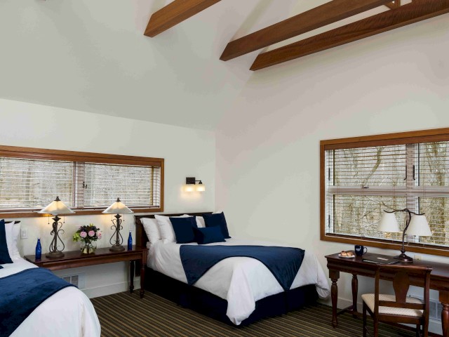 Tree House guestroom