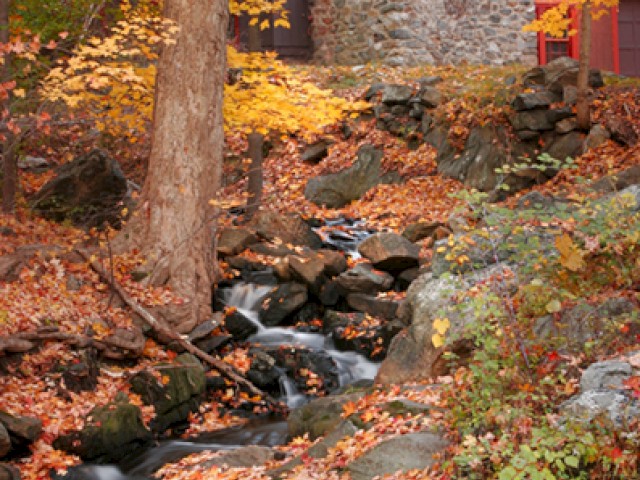 The creek at Kismet