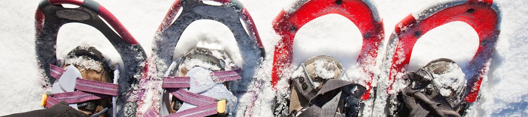 The image shows two pairs of feet wearing snowshoes, standing on snowy ground.