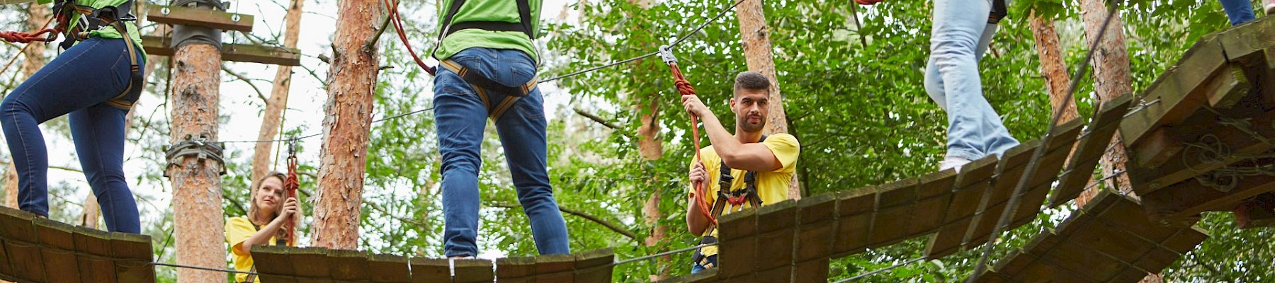 People navigating a ropes course in the forest, wearing harnesses and helping each other across wooden platforms and bridges.