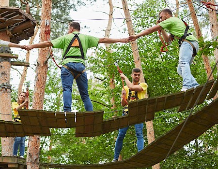 People navigating a ropes course in the forest, wearing harnesses and helping each other across wooden platforms and bridges.